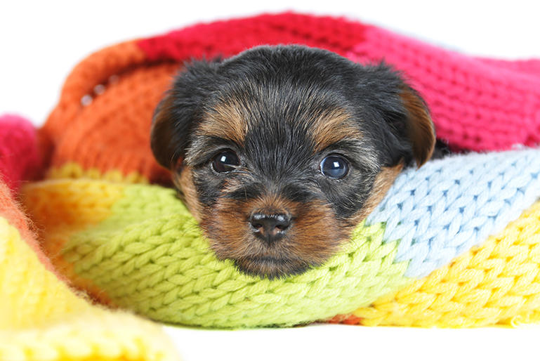 5 Tips to Make Your Home Healthy and Energy Efficient This Winter