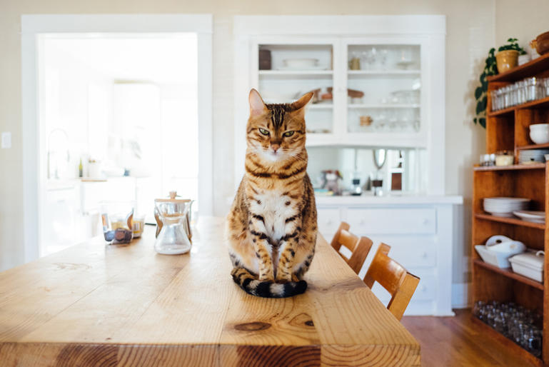 Inviting Strangers into Your Home: Should You Get Involved in Airbnb?